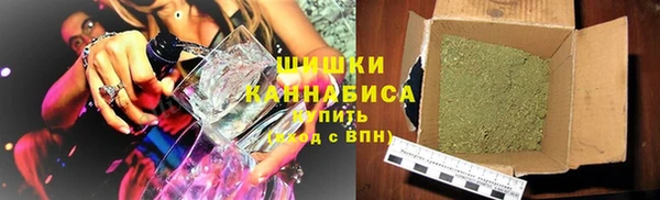 спайс Богданович
