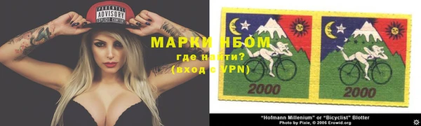 прущие грибы Богородицк