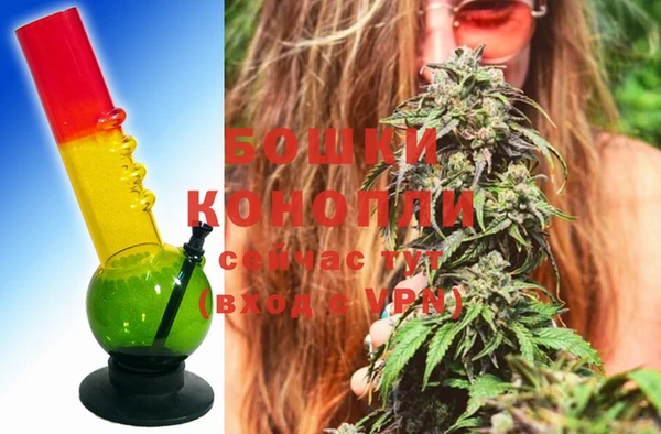 спайс Богданович