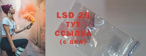 прущие грибы Богородицк