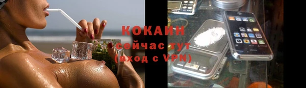спайс Богданович