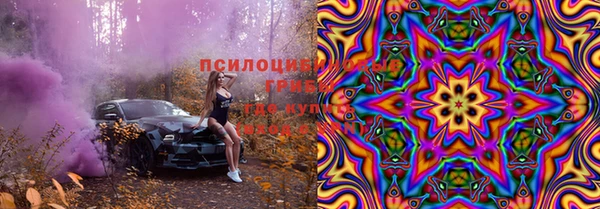 прущие грибы Богородицк