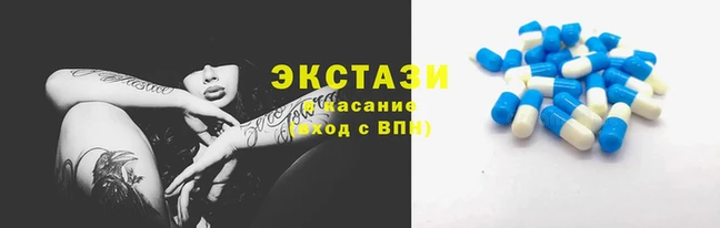 прущие грибы Богородицк