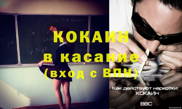 прущие грибы Богородицк