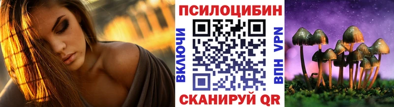 Галлюциногенные грибы Psilocybine cubensis Дагестанские Огни